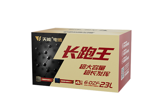 9393体育长跑王系列